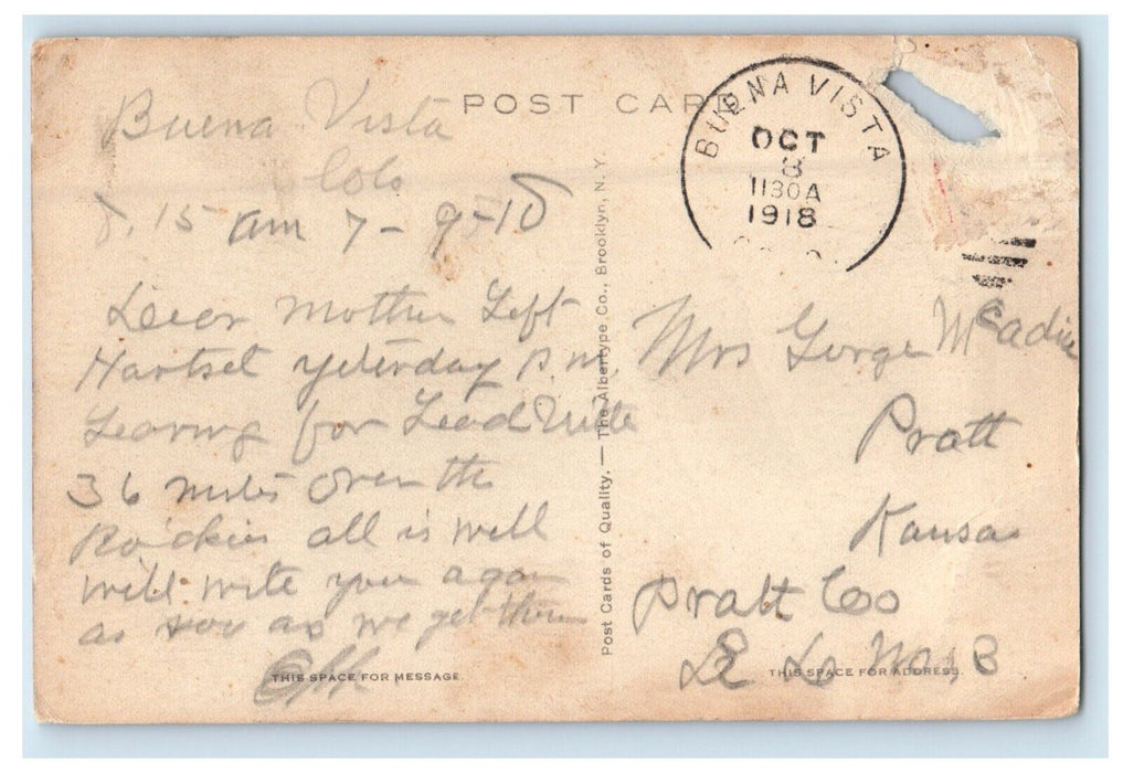 1918 A View Of Buena Vista Colorado CO Posted Antique Postcard