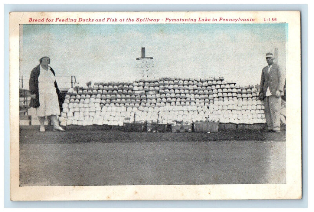 Bread For Feeding Ducks Fish Spillway Pymatuning Lake Pennsylvania PA Postcard