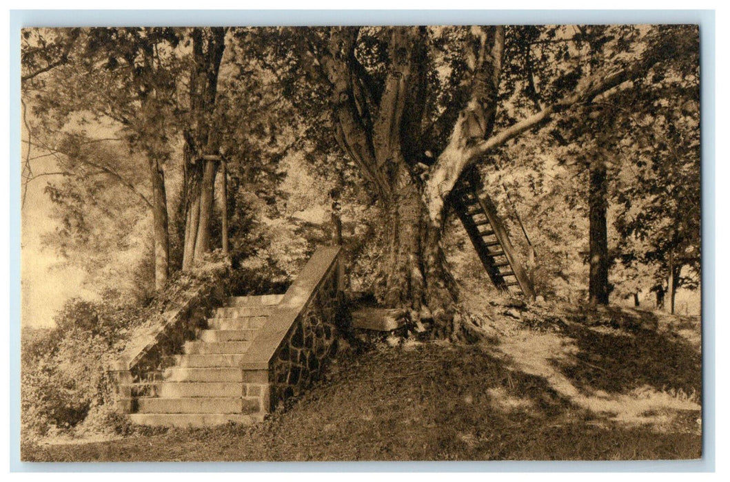 c1940s Westtown School Cape Look-out Westtown Pennsylvania PA Unposted Postcard