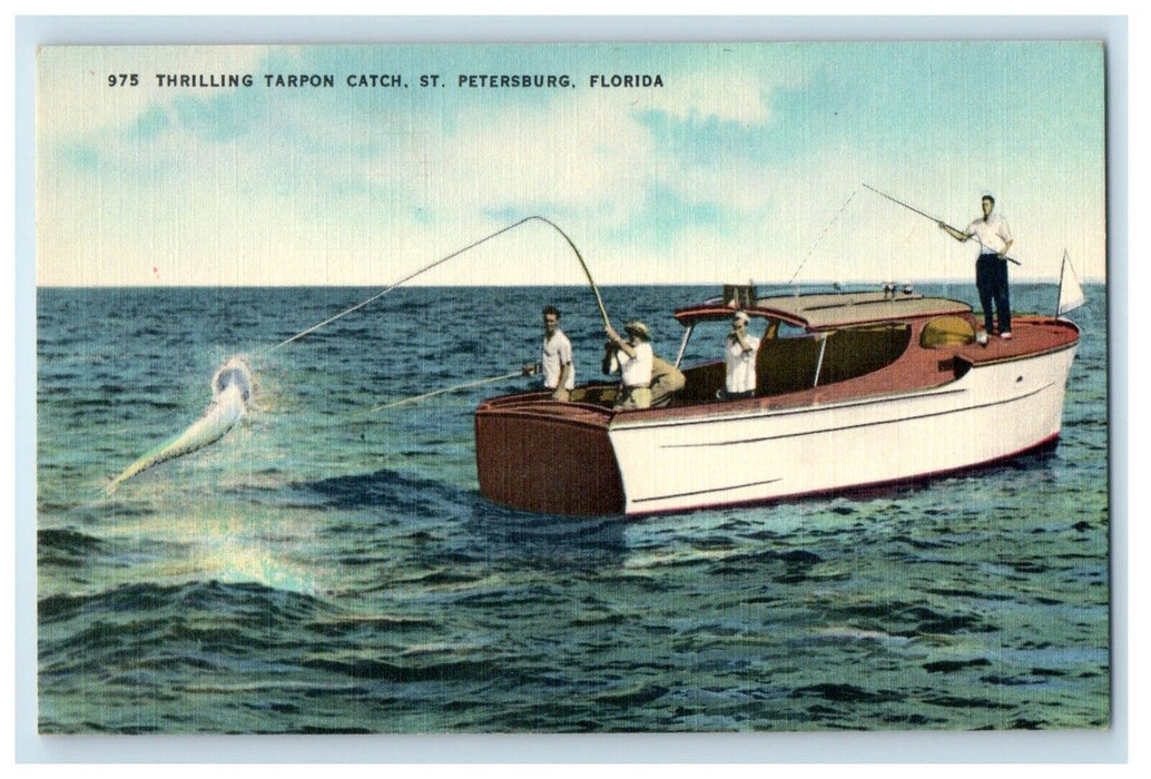 c1940's Thrilling Tarpon Catch St. Petersburg Florida FL, Fishing Boat Postcard