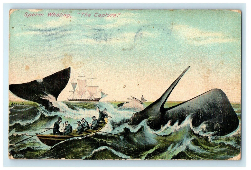 1913 Sperm Whaling "The Capture" New Bedford Massachusetts MA Posted Postcard