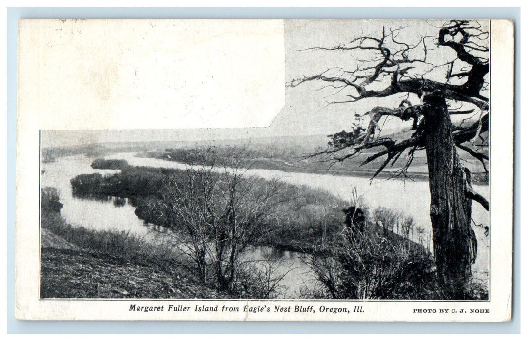 c1905 View from Eagles Nest Bluff Oregon Illinois IL Lindenwood IL Postcard