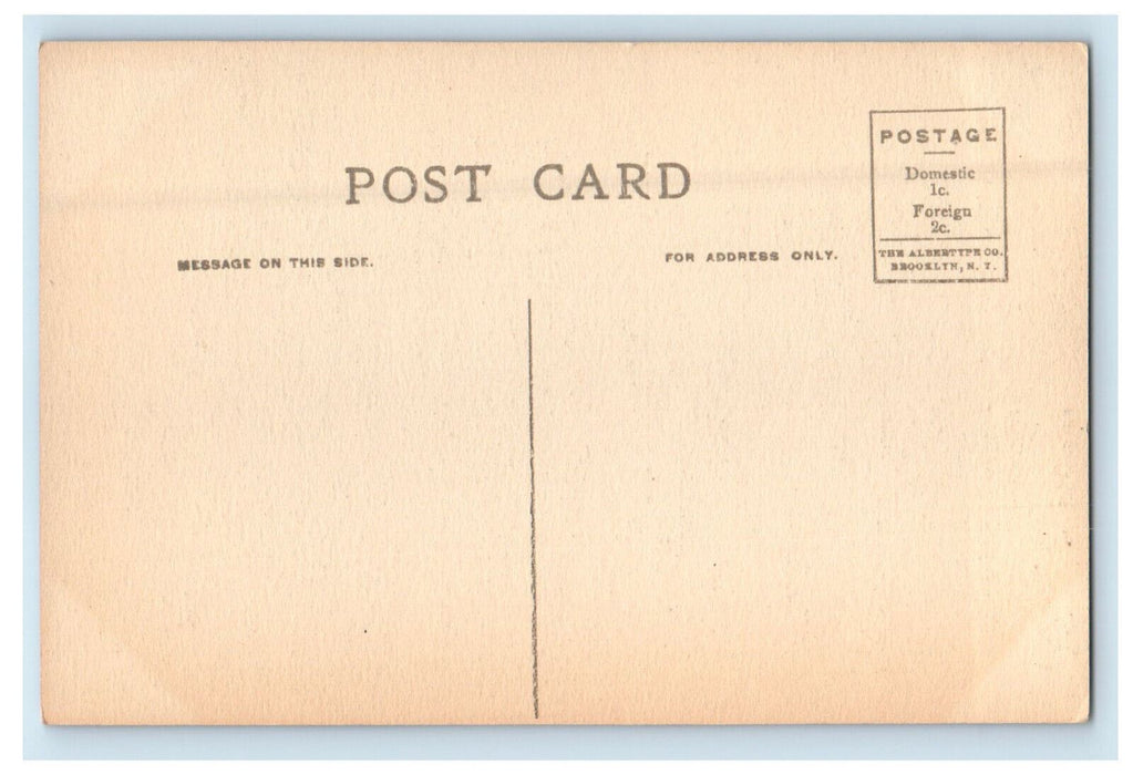 c1910 Mt Ascutney From Harlakenden Cornish New Hampshire NH Antique Postcard