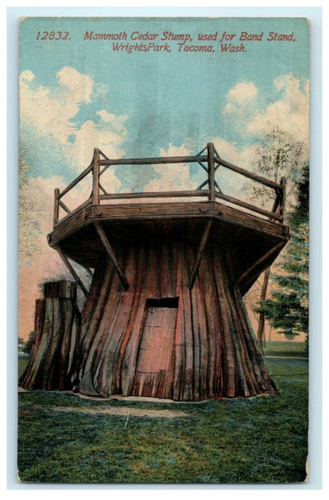 1915 Mammoth Cedar Stump Wrights Park Tacoma Washington WA Band Stand Postcard