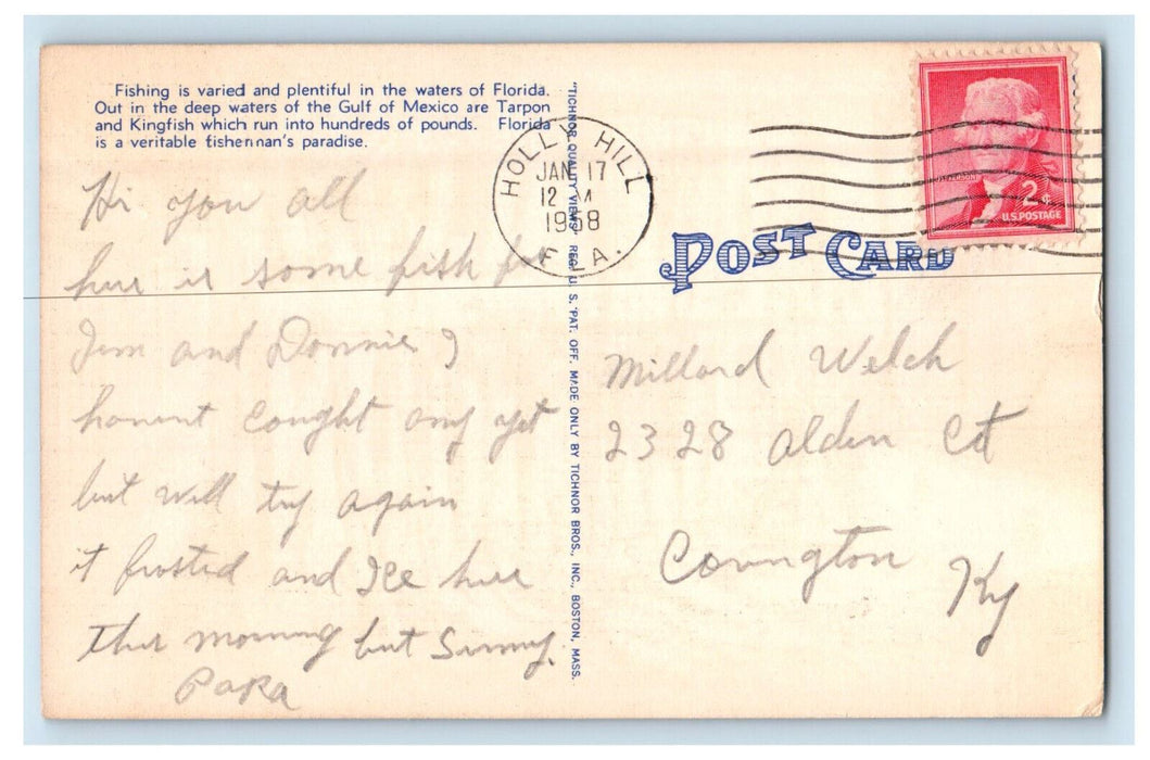 1958 Two Hour Catch of Kingfish Holly Hill, Florida FL Posted Postcard