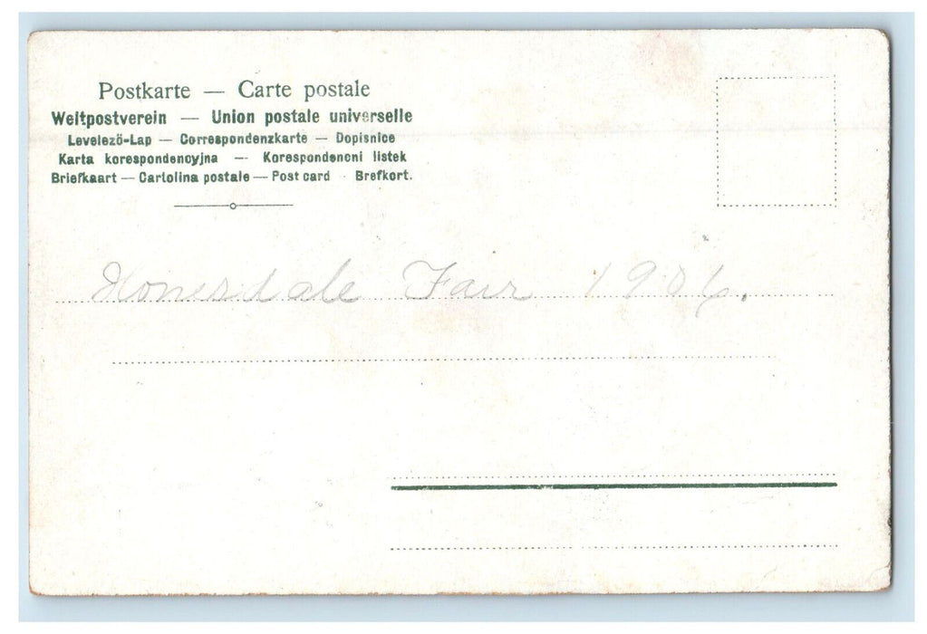 1906 Greetings from Honesdale Pennsylvania PA Glitter, Flower Vase Postcard