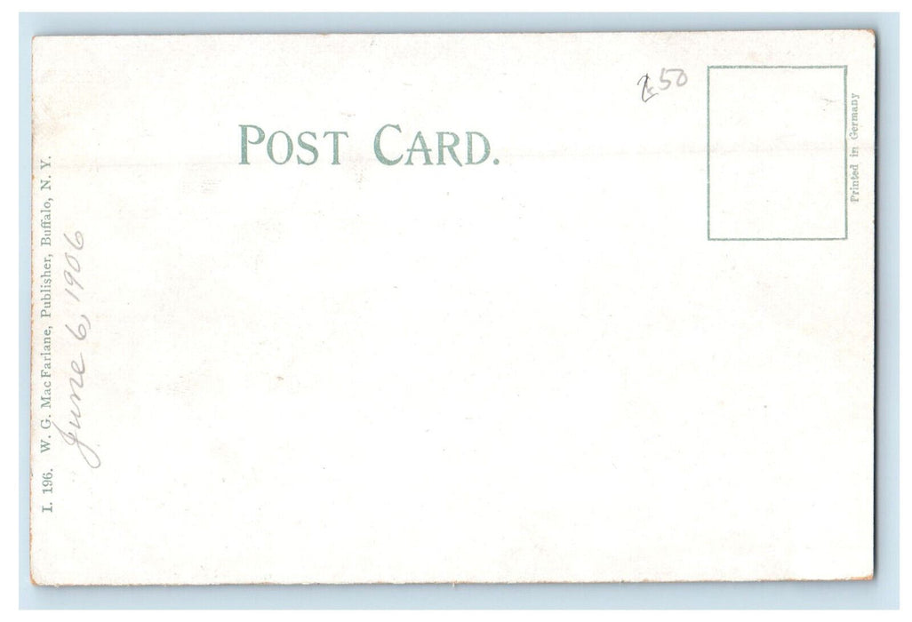 1906 Buffalo Harbor from Michigan Street New York NY Antique Unposted Postcard