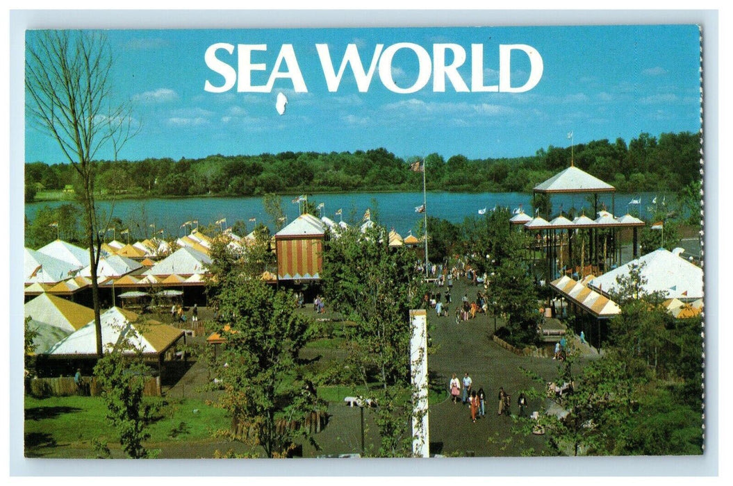 c1950's The World Finest Oceanarium Sea World Aurora Ohio OH Vintage Postcard