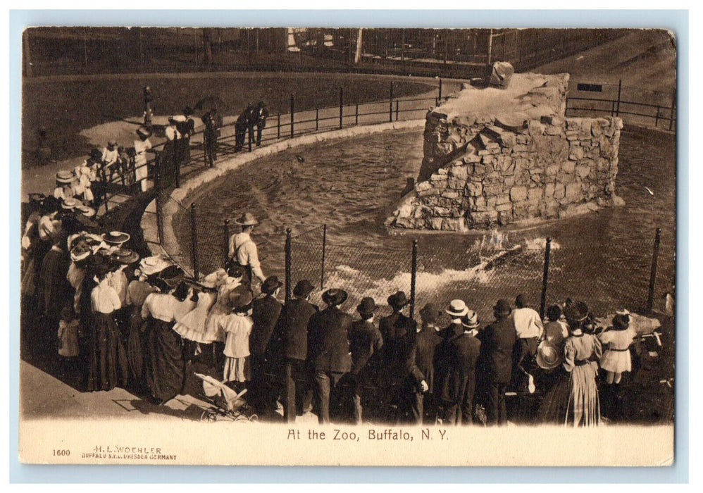 1909 People Watching At The Zoo, Buffalo New York NY Posted Antique Postcard