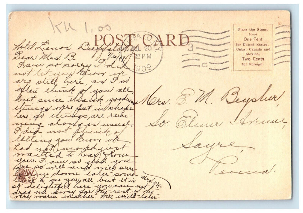 1909 People Watching At The Zoo, Buffalo New York NY Posted Antique Postcard
