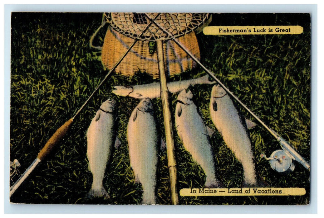 1946 Fisherman Caught Fish, Fish Equipment, Land of Vacations ME Postcard