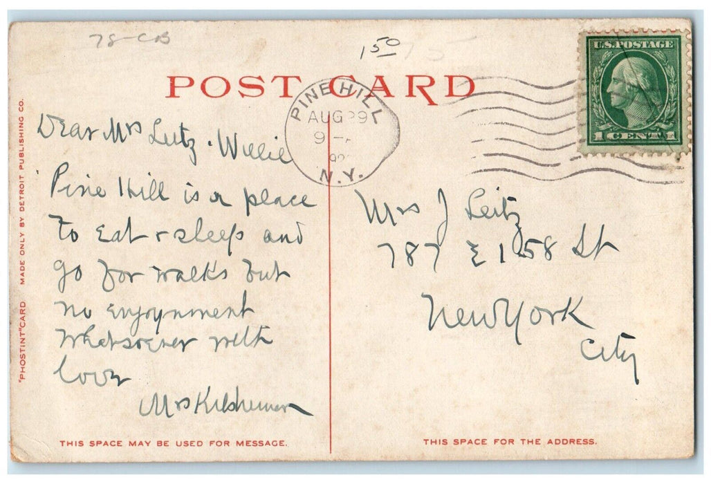 c1910's Griffen's Corners And Fleischmann's Catskill Mountain NY Postcard