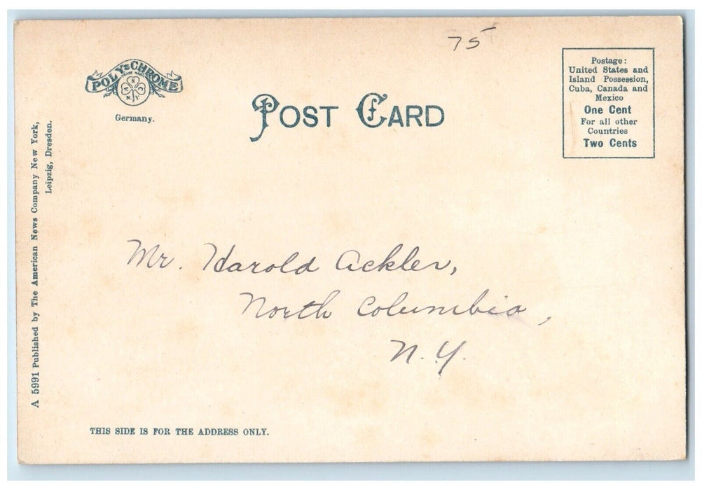 c1905 High School Building Dirt Road Frankfort New York NY Antique Postcard