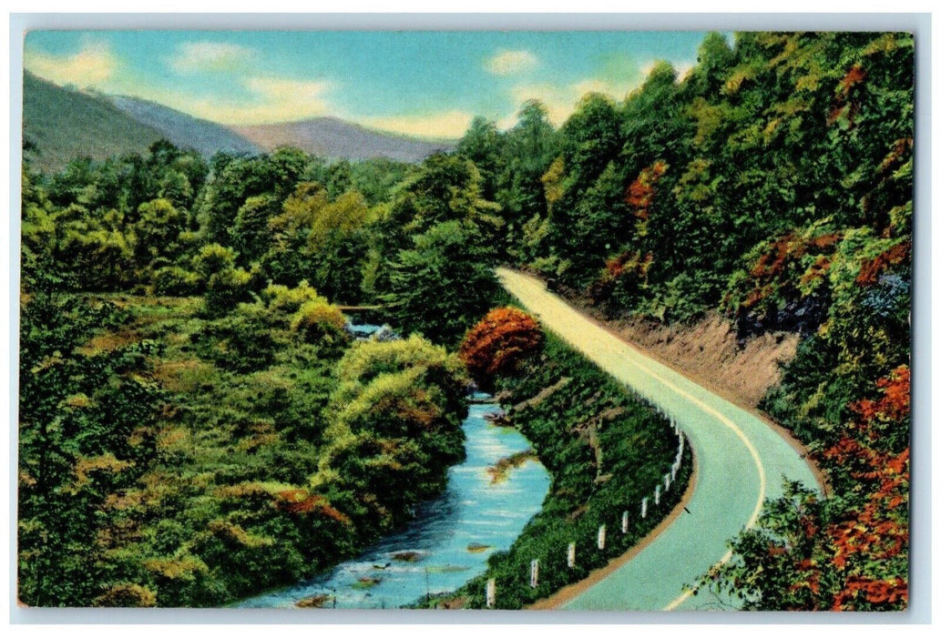 Greetings From Ellenville New York NY, Curve Road And Trees View Postcard