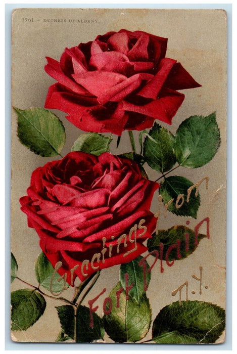 1911 Greetings From Fort Plain New York NY, Red Roses Flowers Antique Postcard