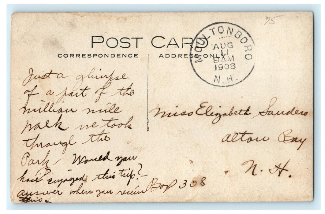 1908 Bridge Park Waterfall Moultonborough New Hampshire NH RPPC Photo Postcard