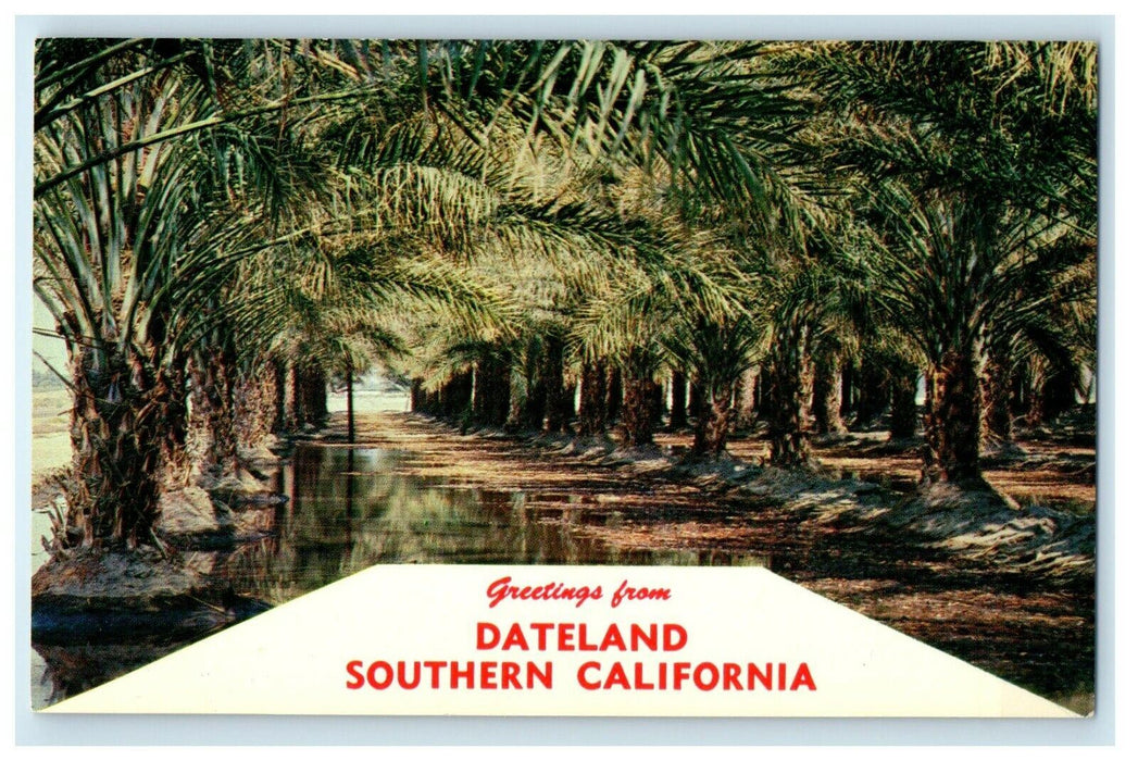 Greetings From Dateland Southern California CA Unposted Postcard