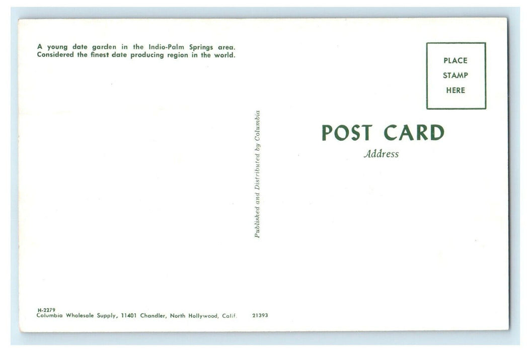 Greetings From Dateland Southern California CA Unposted Postcard