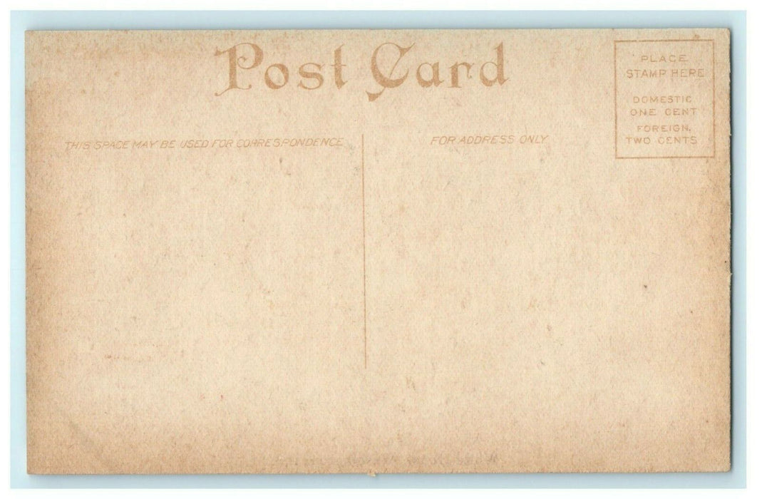 White House Washington DC Fountain Early 1900's Unused Vintage Antique Postcard