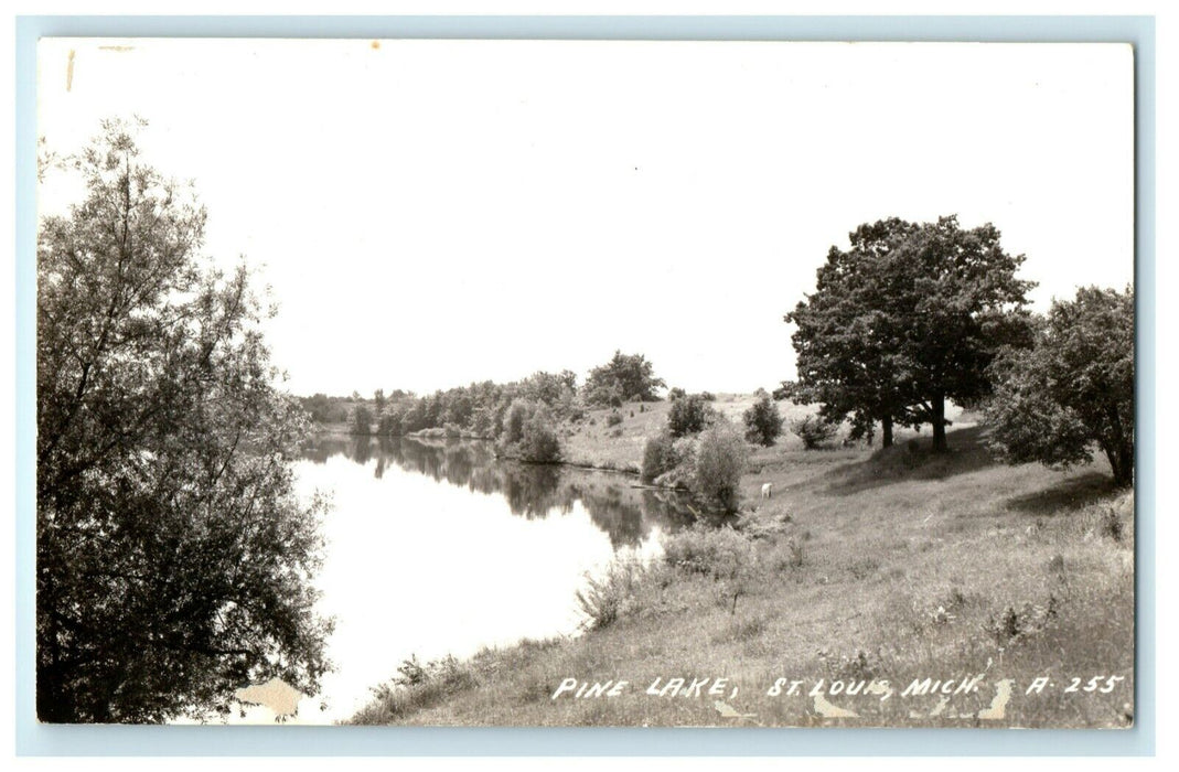 c1940's Pine Lake St. Louis Michigan MI RPPC Photo Postcard