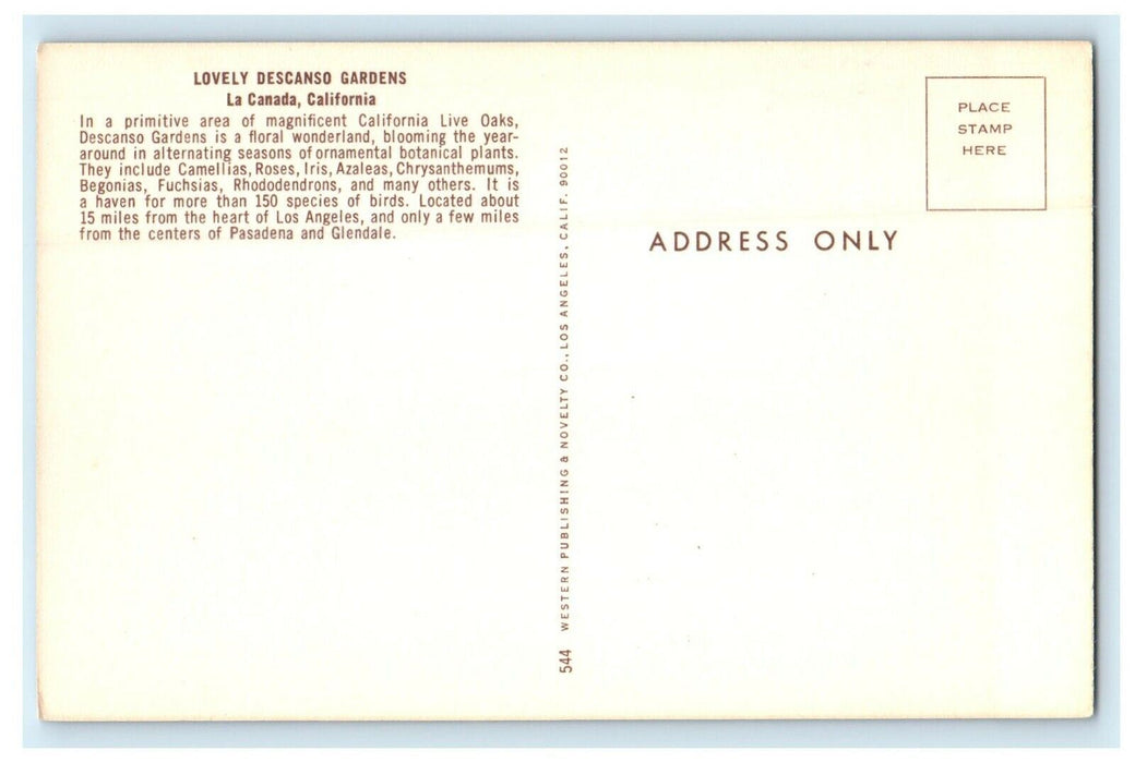 Lovely Descanso Gardens Blooming Flowers La Canada California CA Postcard