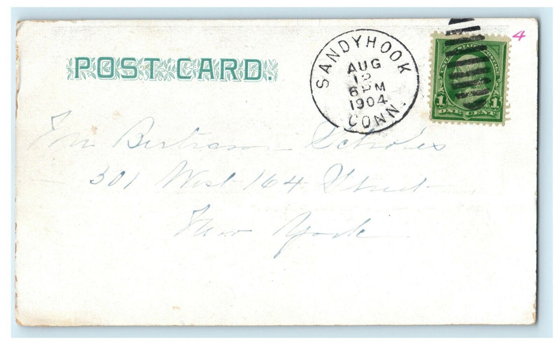 1904 Fenimore Cooper's Grave Sandy Hook Connecticut CT Four Track News Postcard