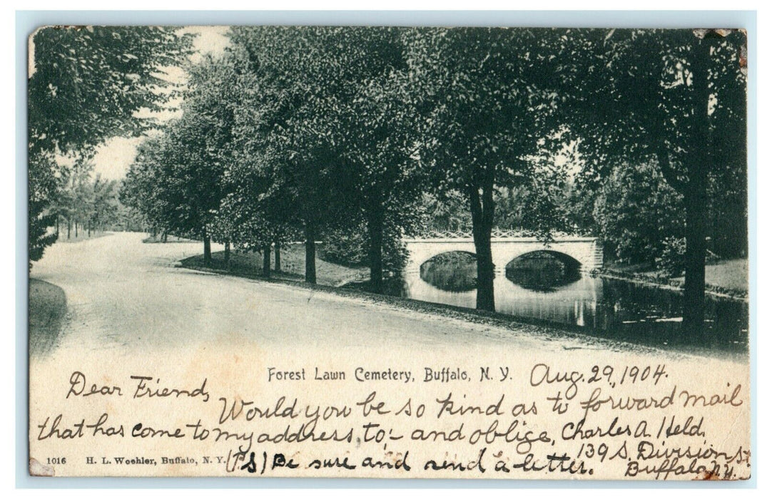 1904 Forest Lawn Cemetery Buffalo New York NY Posted Antique Postcard