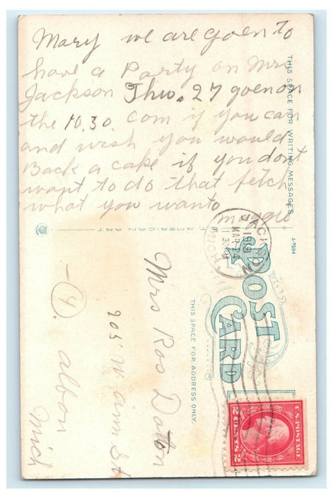 1919 Vandercook's Lake and Hague Park, Jackson Michigan MI Posted Postcard