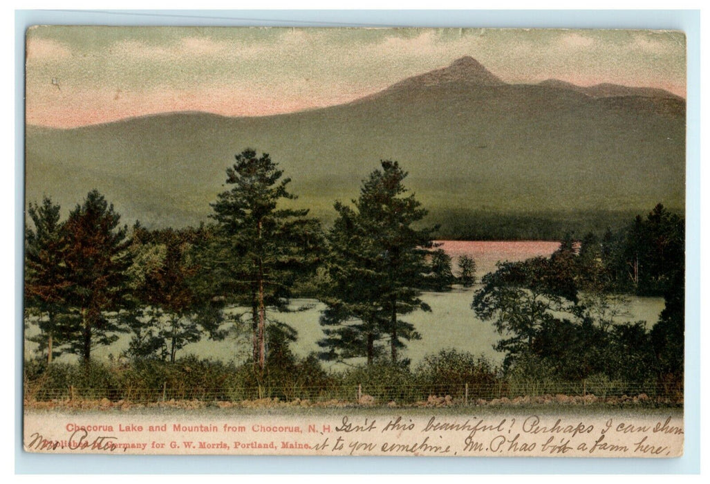 1907 Chocorua Lake Mountain New Hampshire NH Posted Antique Postcard