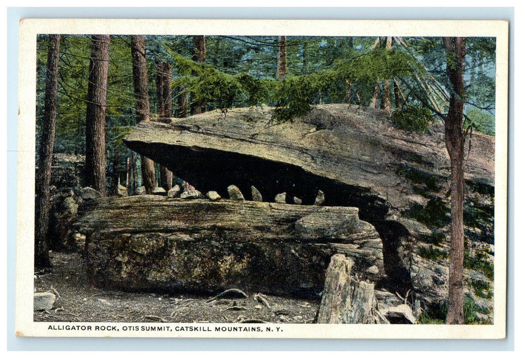 c1920s Alligator Rock, Otis Summit, Catskill Mountain New York NY Postcard