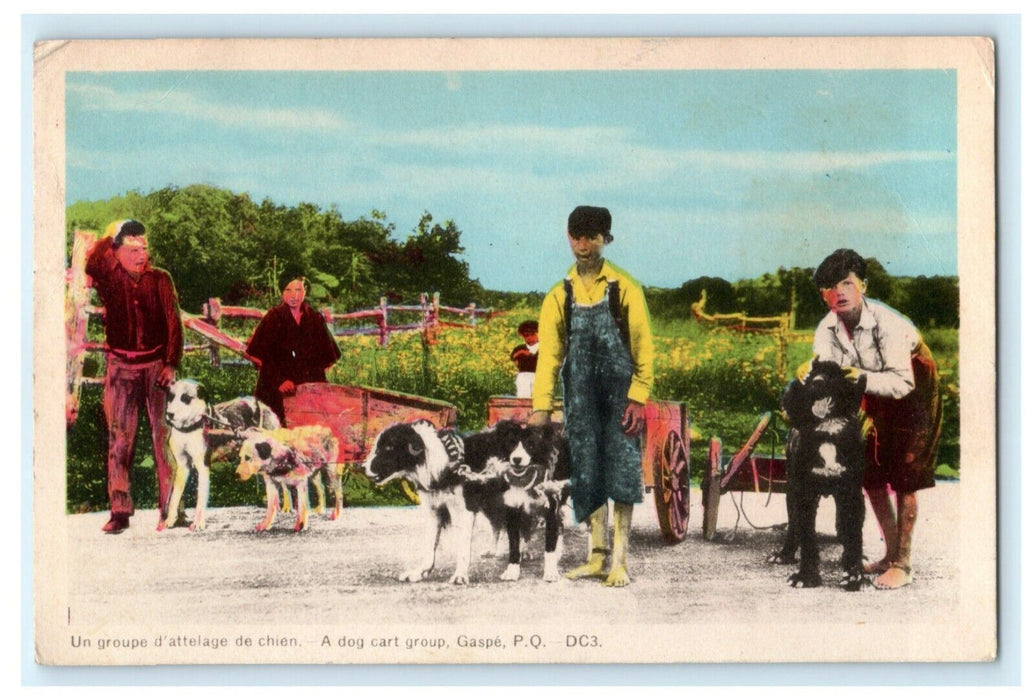 Dog Cart Group Sheep Terrier Perci Quebec Canada Vintage Antique Postcard