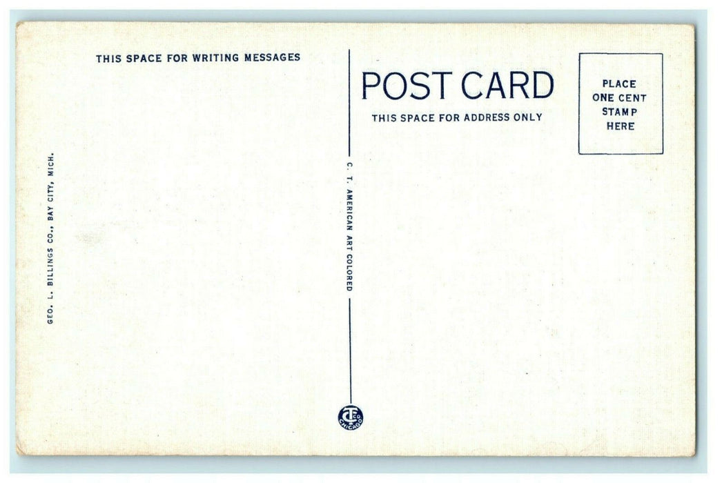 City Hall Bay City Michigan Vintage Antique Postcard