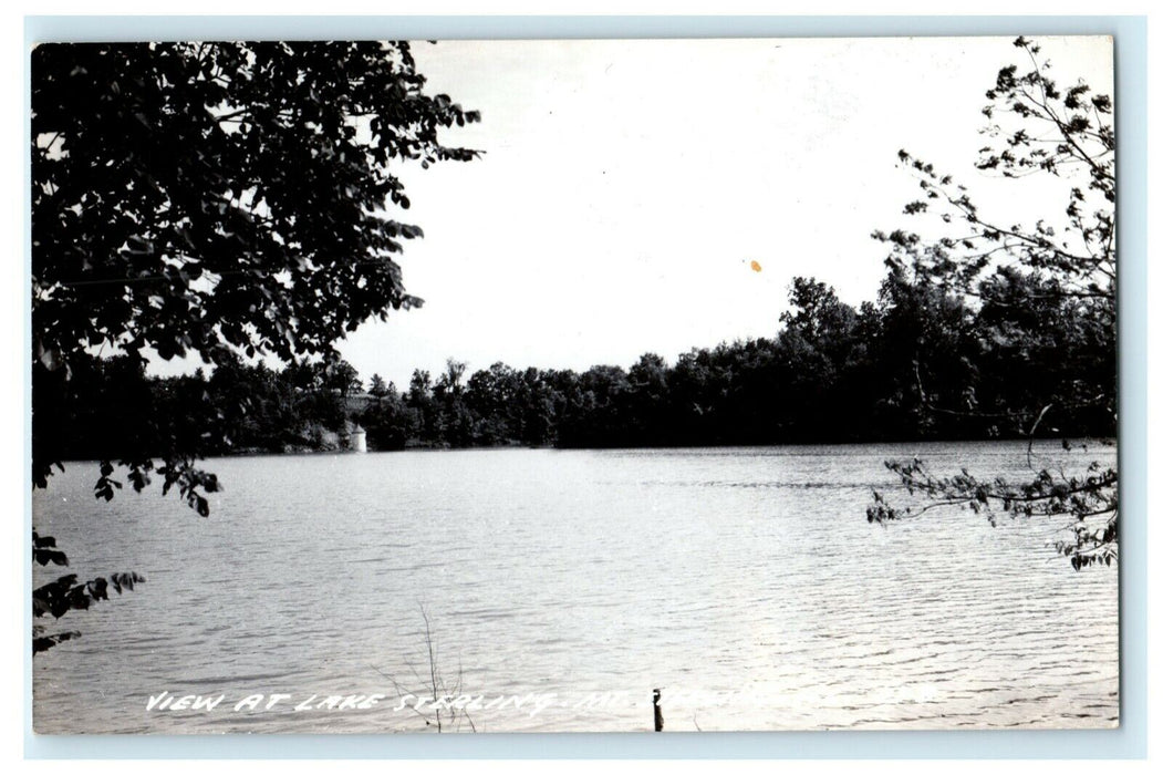 c1950's View at Lake Sterling Mt. Sterling Illinois IL RPPC Photo Postcard