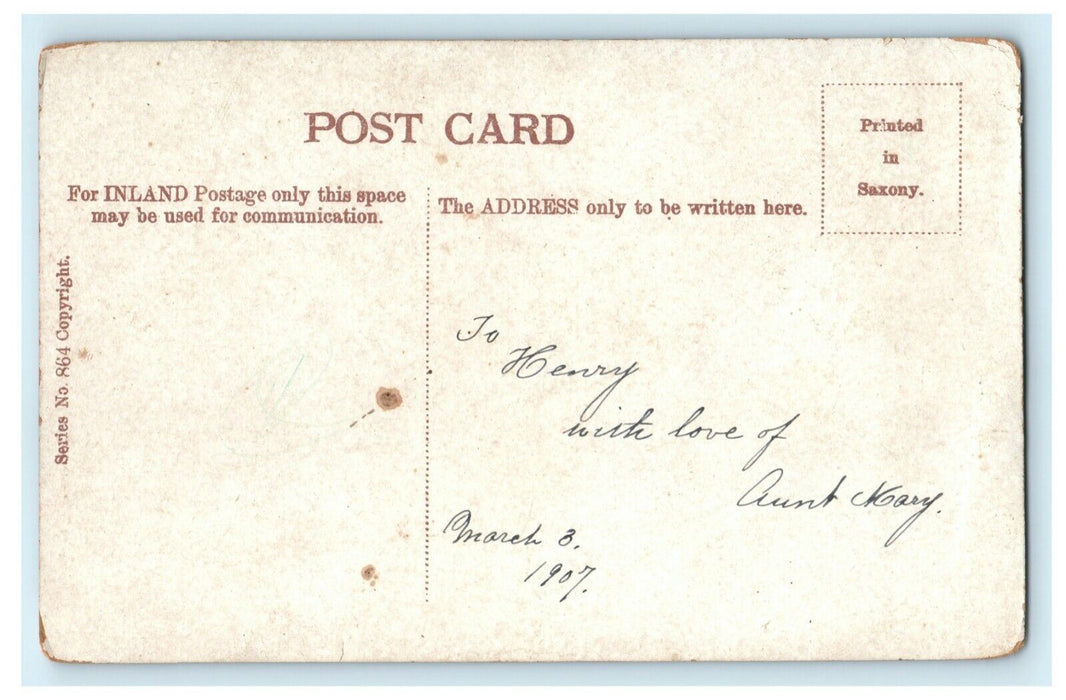 1907 Spaniel Dogs Puppies Birthday Card Lake Puppies Swimming Postcard