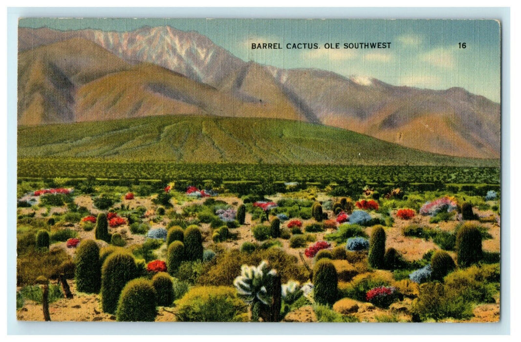 1941 Barrel Cactus Ole Southwest El Paso Texas Los Angeles RPO Cancel Postcard