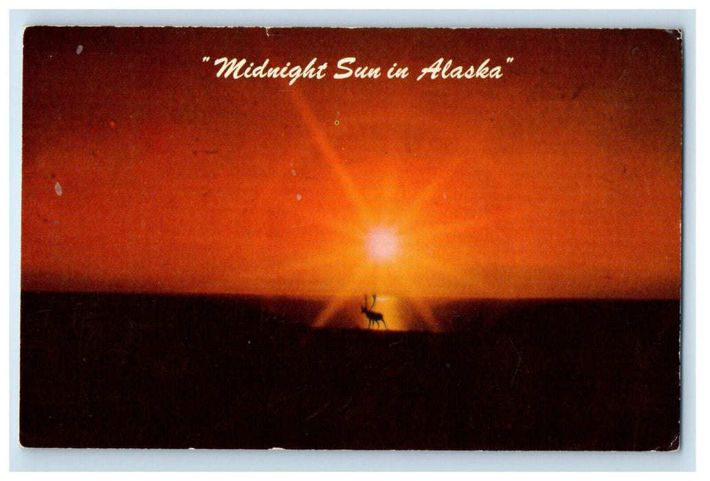 1958 Midnight Sun in Alaska, Animal, Point Barrow Alaska AK Posted Postcard