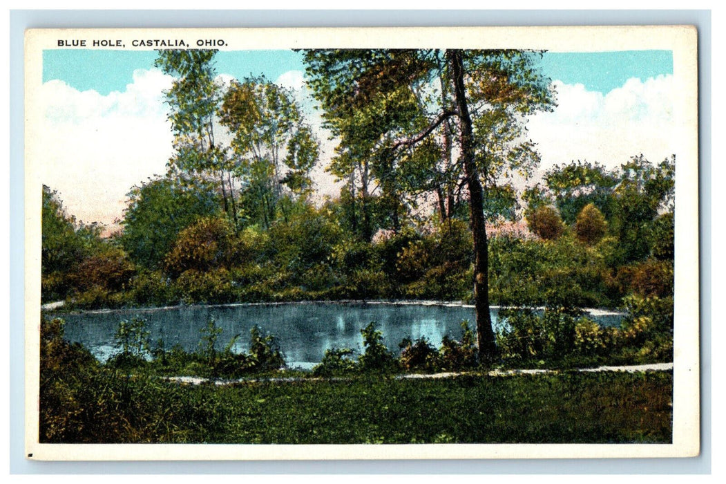 c1940s Grass and Trees Scene, Blue Hole, Castalia Ohio OH Unposted Postcard