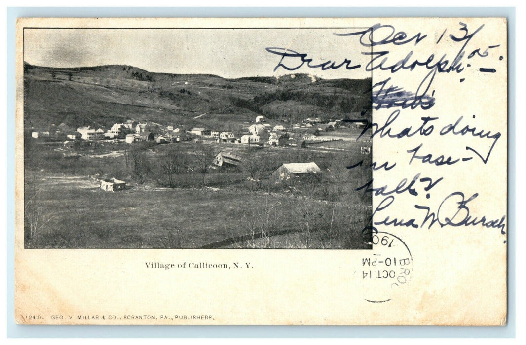 1905 Village of Callicoon New York NY Hankins Fremont Center Postcard