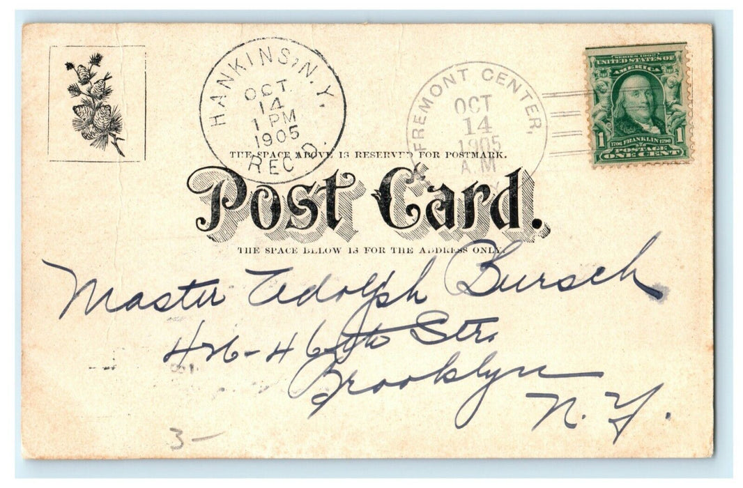 1905 Village of Callicoon New York NY Hankins Fremont Center Postcard