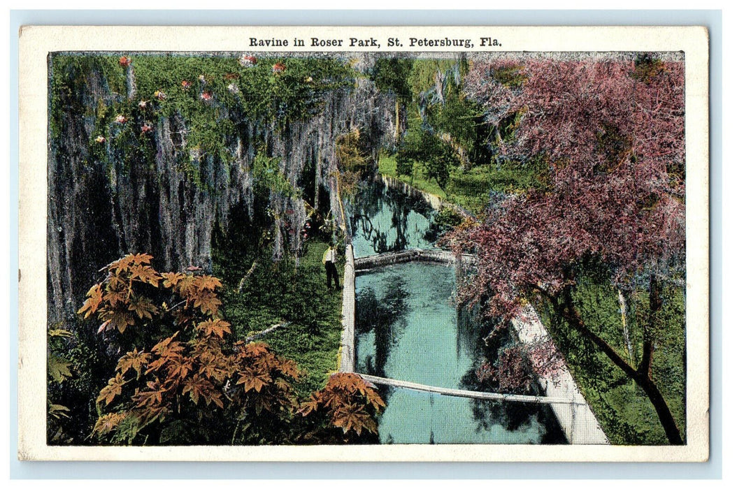 c1920s Ravine In Roser Park, St. Petersburg Florida FL Unposted Postcard