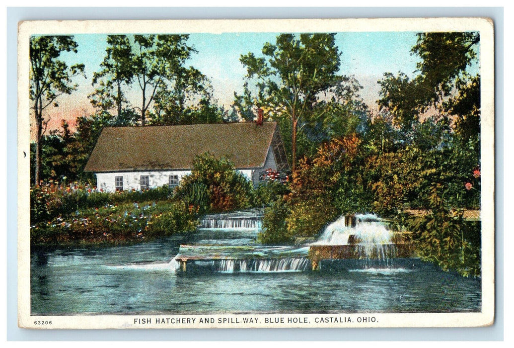 1929 Fish Hatchery and Spill Way Blue Hole Castalia Ohio OH Vintage Postcard