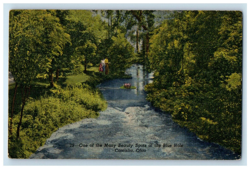 1957 One of the Many Beauty Spots at Blue Hole Castalia Ohio OH Postcard