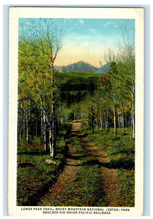 c1920s Longs Peak Trail, Rocky Mountain National Park Colorado CO Postcard