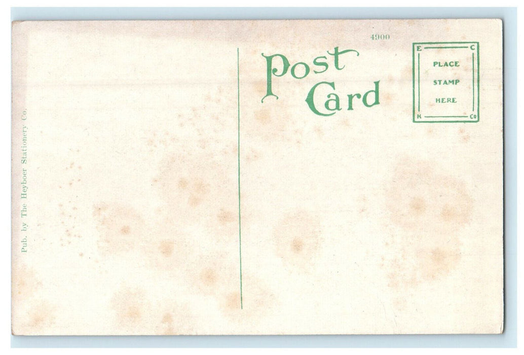 c1920s City Hall View, Grand Rapids Michigan MI Unposted Postcard