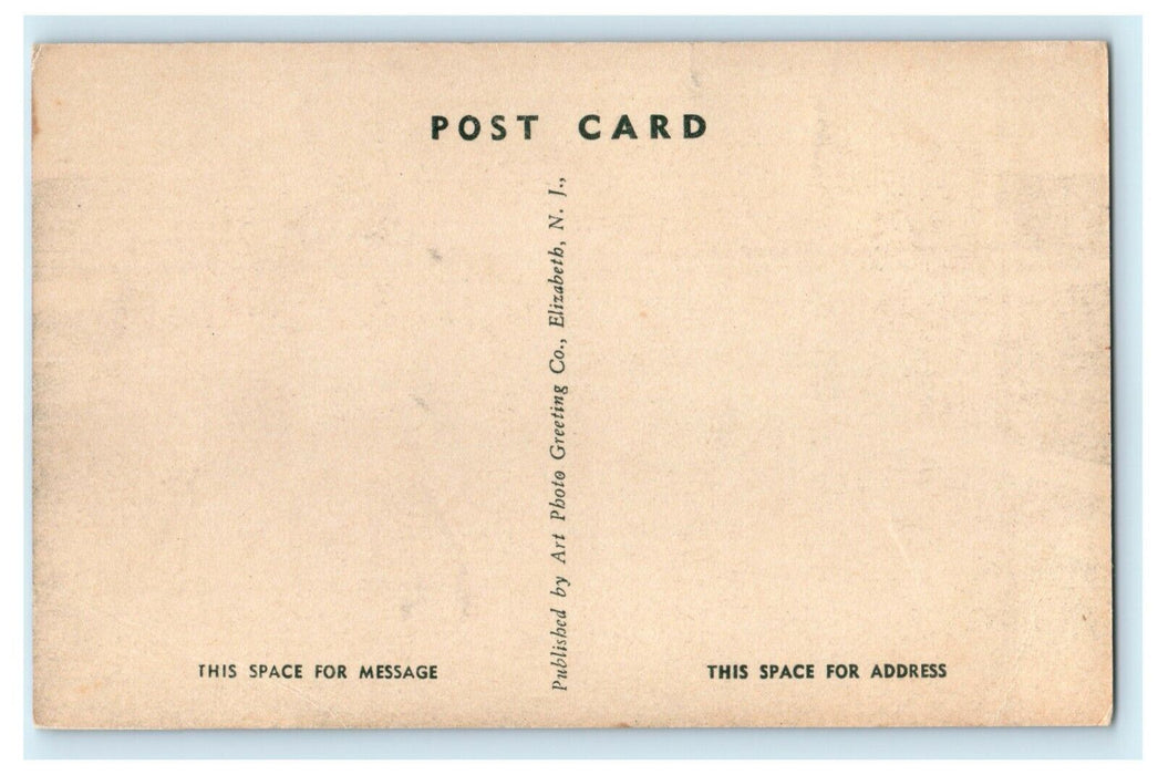 c1910 Electric Fountain Municipal Park Salisbury Maryland MD Postcard