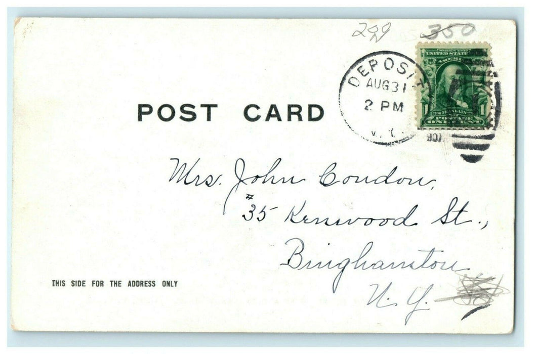 Electric Power Plant House Delaware River Deposit New York 1907 Antique Postcard