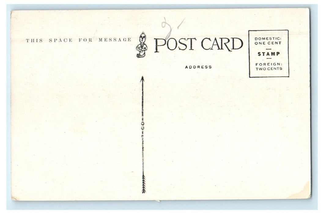 c1920s Proposed Buffalo Bill Monument on Wild Cat Point Colorado CO Postcard