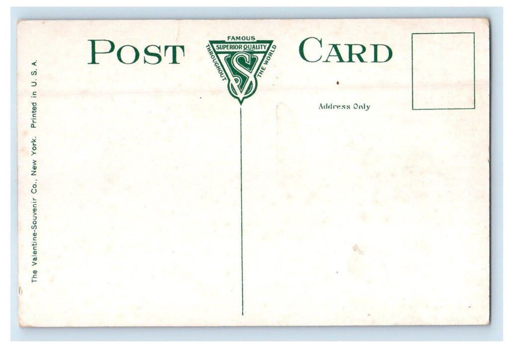 c1910's New York Central Station Depot Train Railroad  Wagon Medina NY Postcard