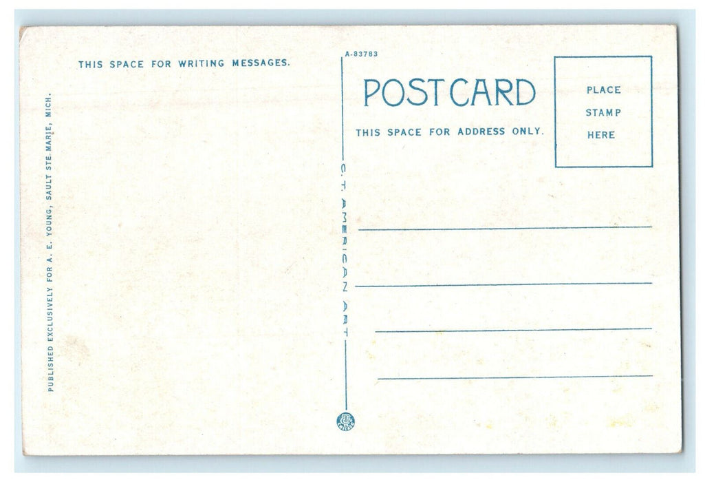 c1920s Little Rapids and Islands Soo. Michigan MI Unposted Postcard