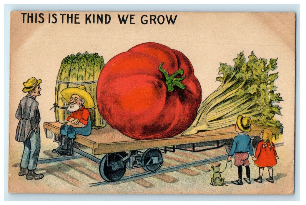 c1910s Giant Tomato and Vegetables This Is The Kind We Grow Exaggerated Postcard